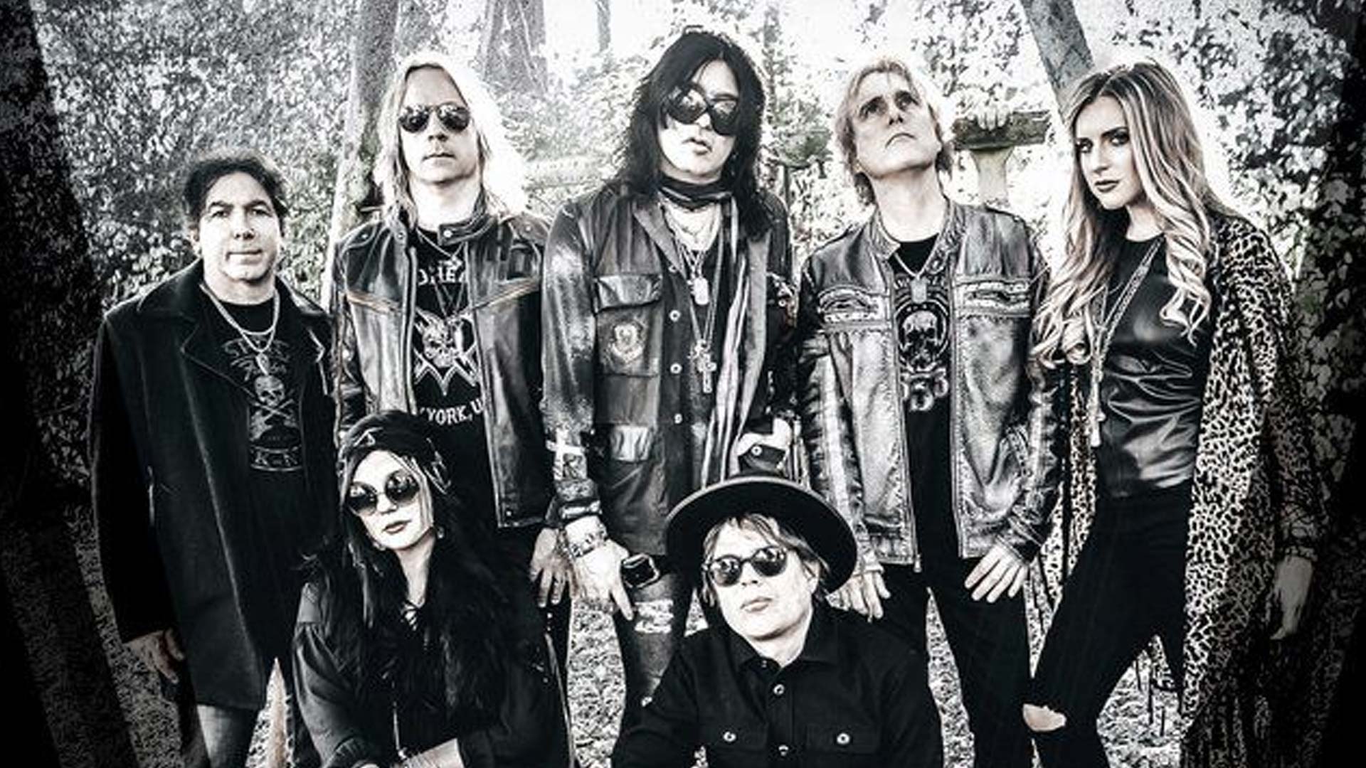 owl-carousel-video-image